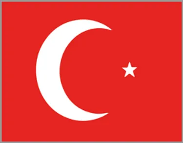 Türkische Flagge