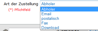 screen_art_der_zustellung.png